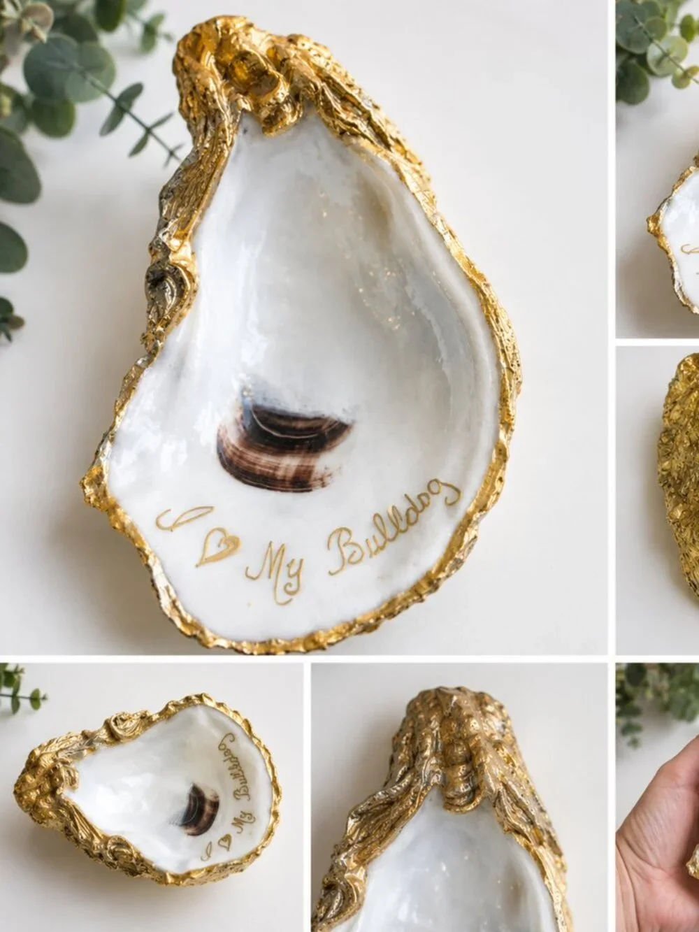 Bulldog Oyster Trinket Dish Gold Accent Jewelry Ring Holder
